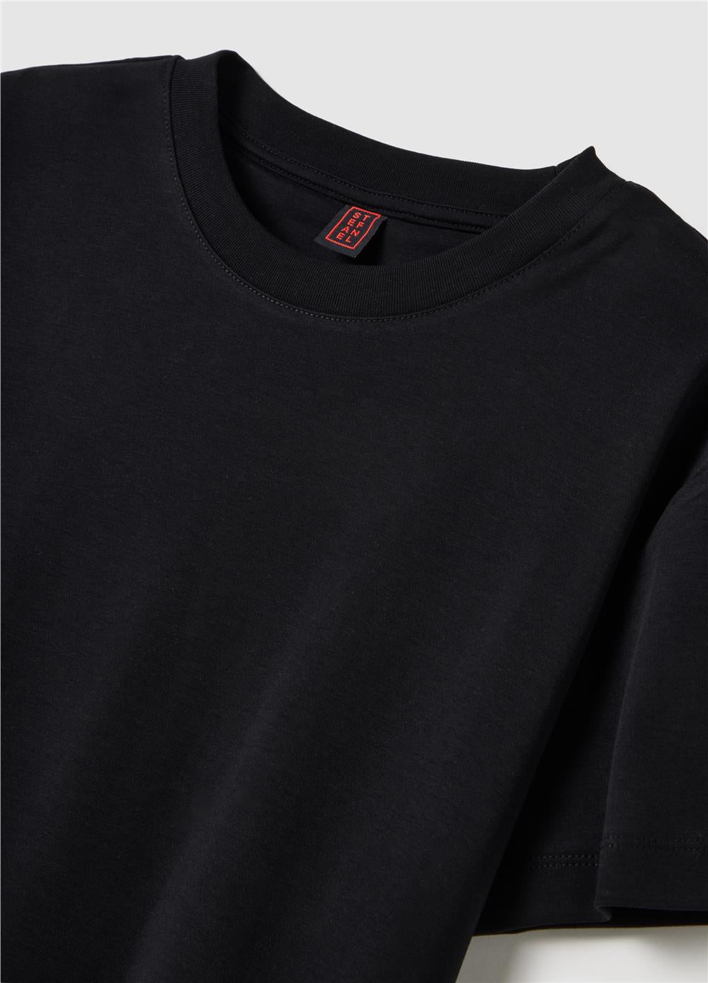 Siyah Saf Pamuk Düzenli Fit T-Shirt